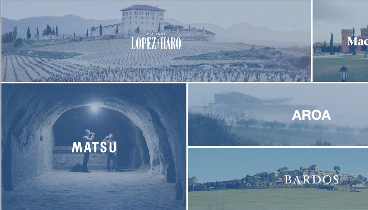 CASO DE ÉXITO: Vintae apuesta por EMESA